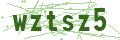 Bullet Magnets Captcha Code