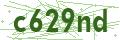 Bullet Magnets Captcha Code