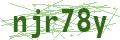 Bullet Magnets Captcha Code