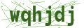 Bullet Magnets Captcha Code