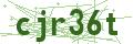 Bullet Magnets Captcha Code
