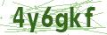 Bullet Magnets Captcha Code
