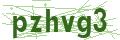 Bullet Magnets Captcha Code