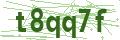 Bullet Magnets Captcha Code