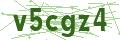 Bullet Magnets Captcha Code